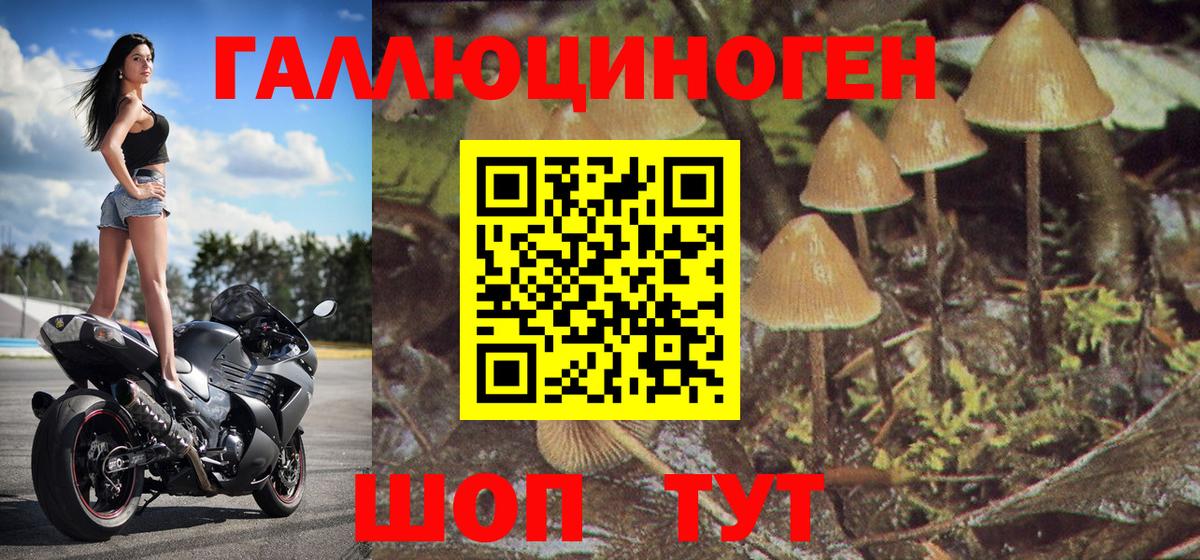 Галлюциногенные грибы ЛСД Красноармейск