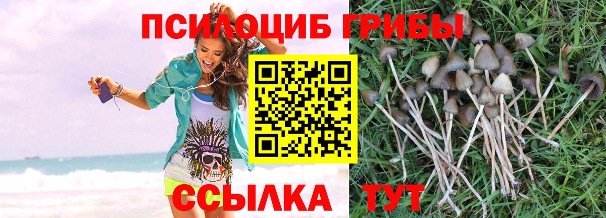 где найти наркотики  Вход с VPN  Красноармейск  Галлюциногенные грибы мухоморы 